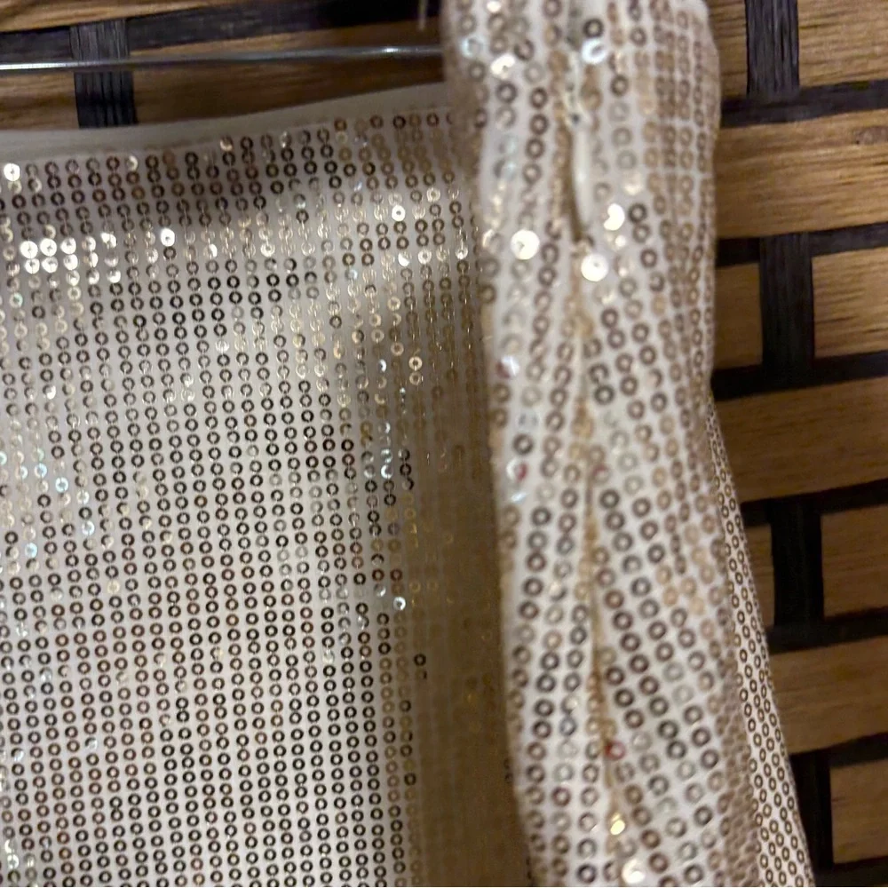 Time And Tru Champagne Sequin Skirt‎ Size XXXL (22)
